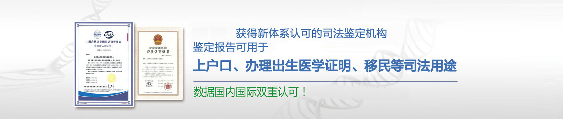 撕碎機(jī)專題
